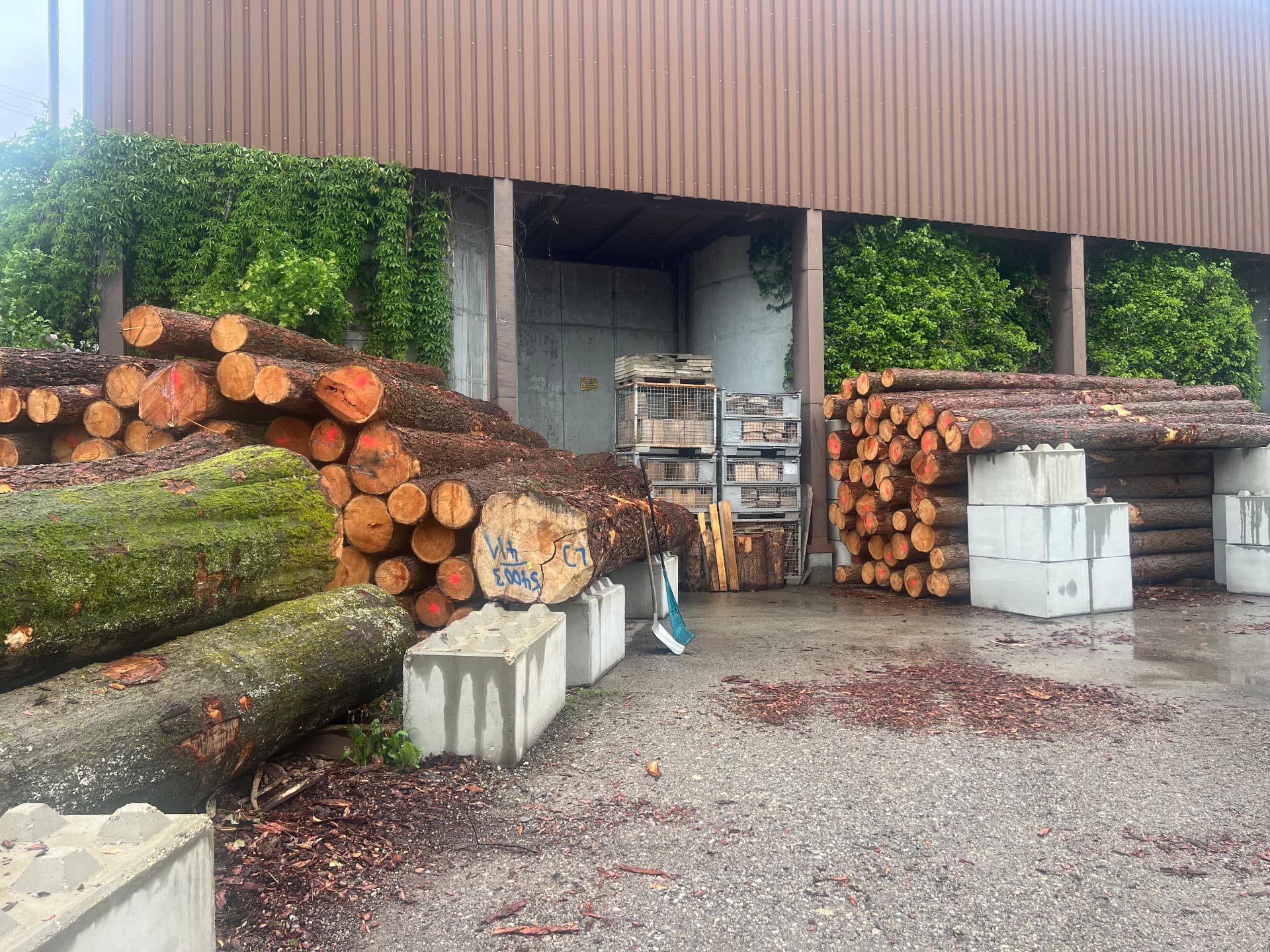Lagerhalle mit Stammholz von außen